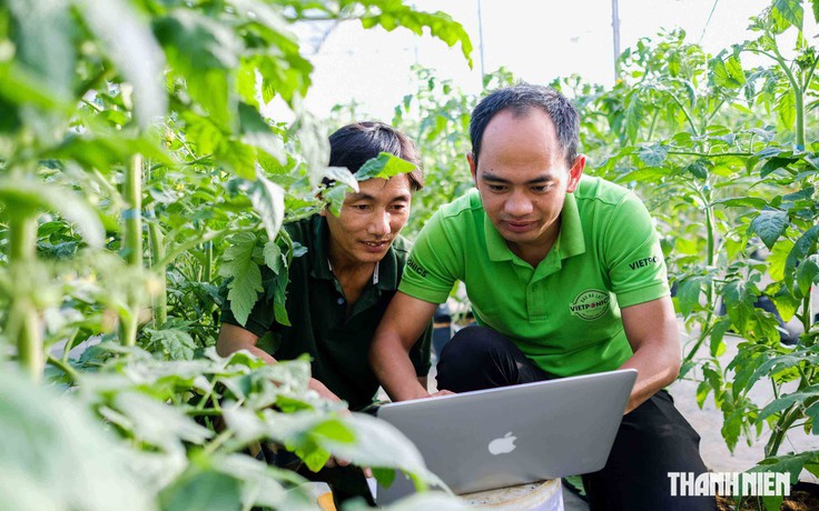 Nông nghiệp thông minh mang lại hiệu quả kinh tế cao