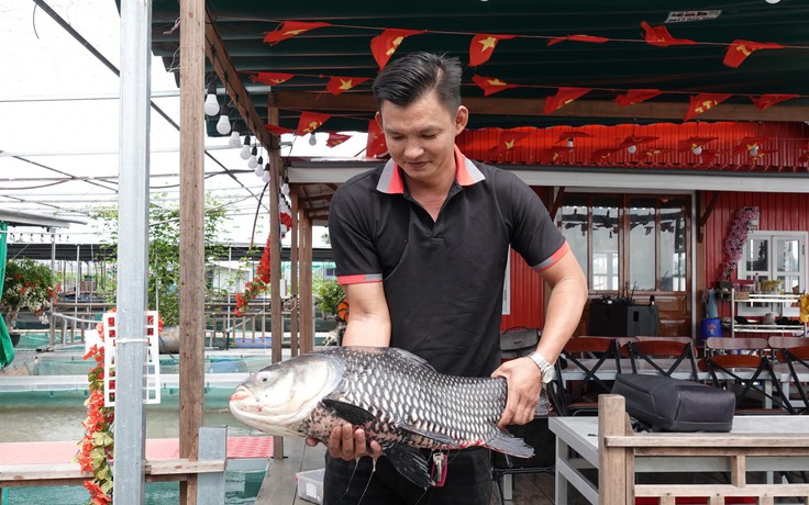Bè nuôi cá thành điểm du lịch 'triệu view', chàng trai miền Tây thu nhập tiền tỉ