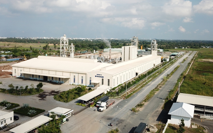 Hành trình 10 năm tại ‘nhà máy gỗ không ngủ’ ở miền Tây