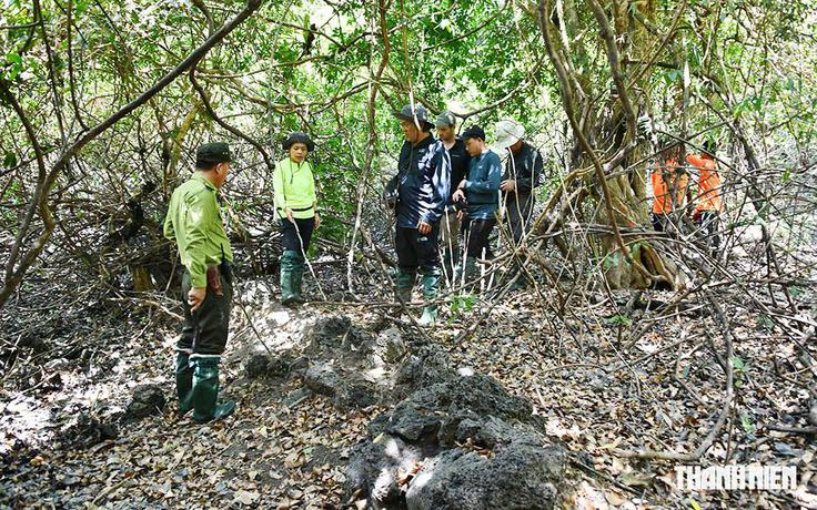 Giữ rừng thời công nghệ: Những bóng hồng Katien