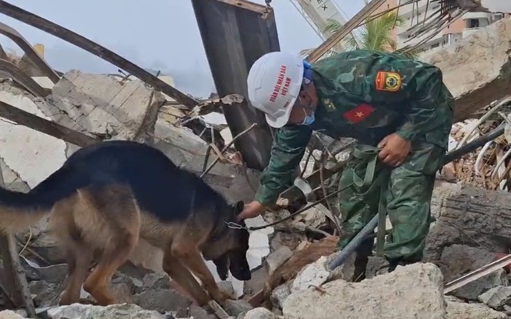 Chó nghiệp vụ Việt Nam được Venezuela trao tặng Huân chương Công trạng