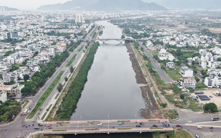 Vì sao chặt hàng cây trên sông Quán Trường ở Nha Trang?