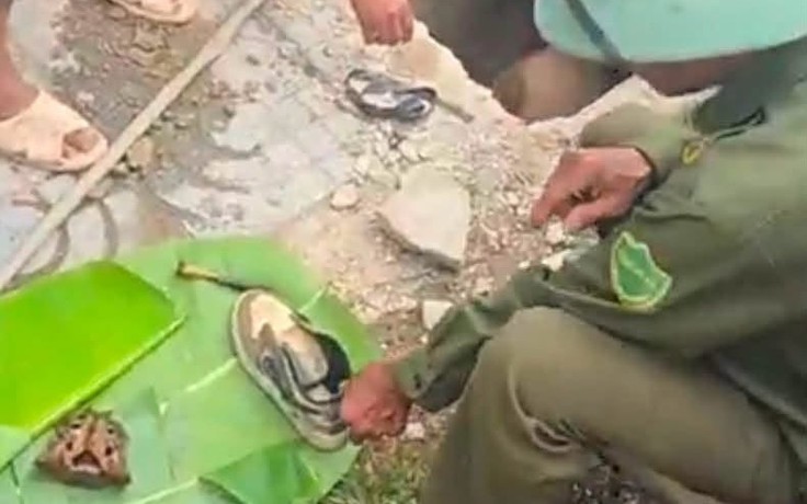 Vụ dọn cỏ vườn phát hiện hộp sọ: Đã xác định được danh tính nạn nhân