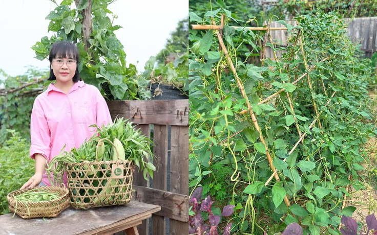 Dưới chân chung cư mọc lên khu vườn 200 m², rau nhiều đến mức chia cả xóm