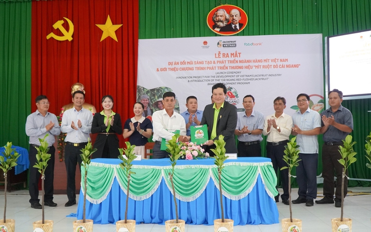 Xây dựng thương hiệu ‘Mít ruột đỏ Cái Ngang’