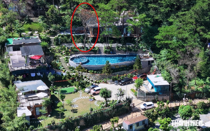 Villa, homestay mọc như nấm trong rừng phòng hộ: Sở NN-MT Hà Nội khẳng định phản ánh 'có cơ sở'