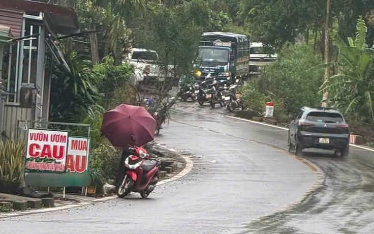 Vụ nữ nhân viên thư viện tử vong: Bắt tạm giam nghi phạm