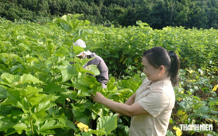Nữ trưởng thôn ở Lào Cai của đồng bào Dao, Thái, Tày, Nùng