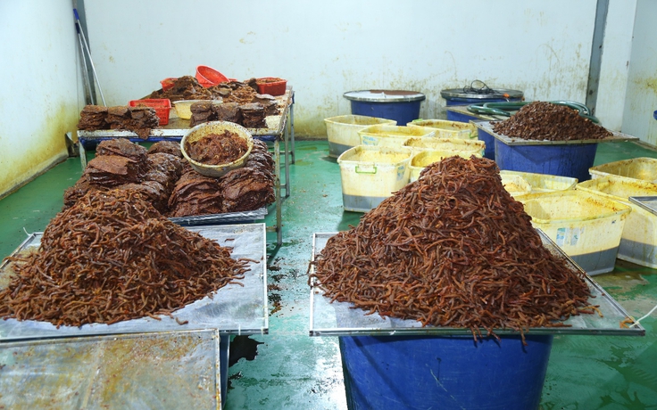 Đồng Nai: Triệt phá đường dây 'phù phép' thịt trâu thành khô bò