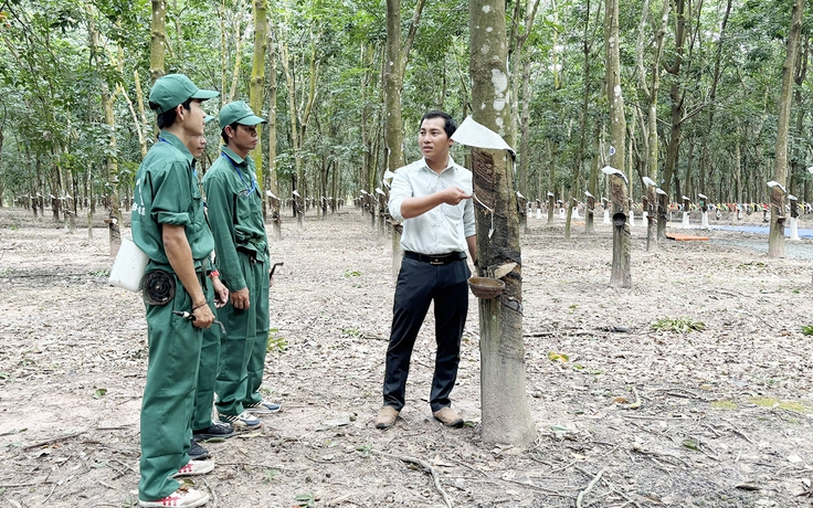 Những sáng kiến nảy mầm trên đất Kampong Thom