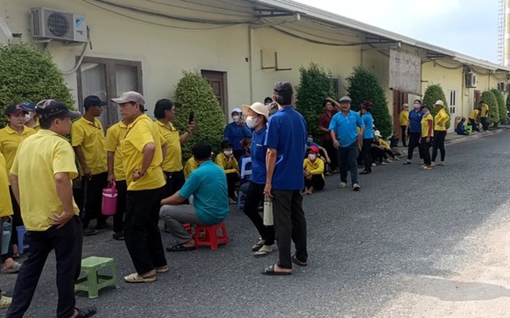 Một công ty ở TP.HCM đóng cửa, nợ lương hàng chục tỉ: Chuyển hồ sơ sang VKS