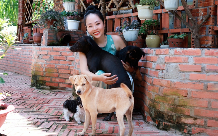 Hơn 10 năm cưu mang chó hoang của cô gái miền Tây