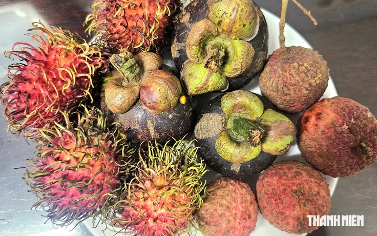 Tối chỉ ăn trái cây để giảm cân, bác sĩ cảnh báo điều này