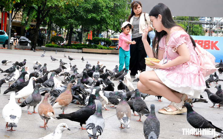 Đàn bồ câu khiến nhiều người mê tít ở phố đi bộ Nguyễn Huệ do ai nuôi?