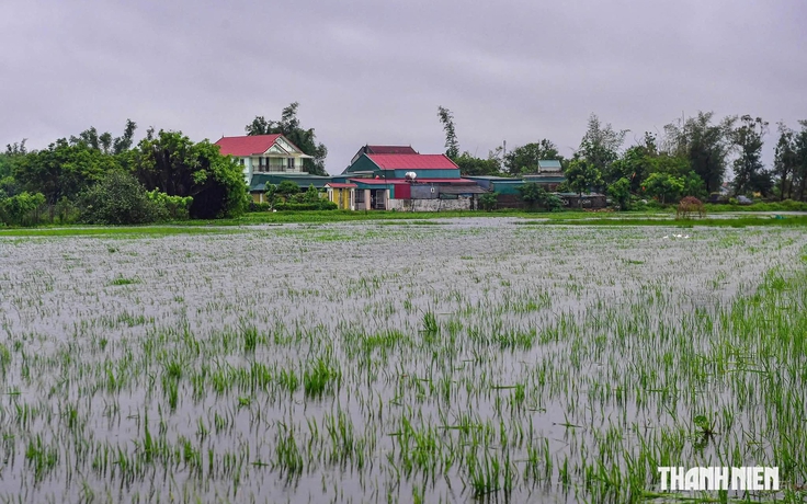 2 người bị sét đánh thương vong