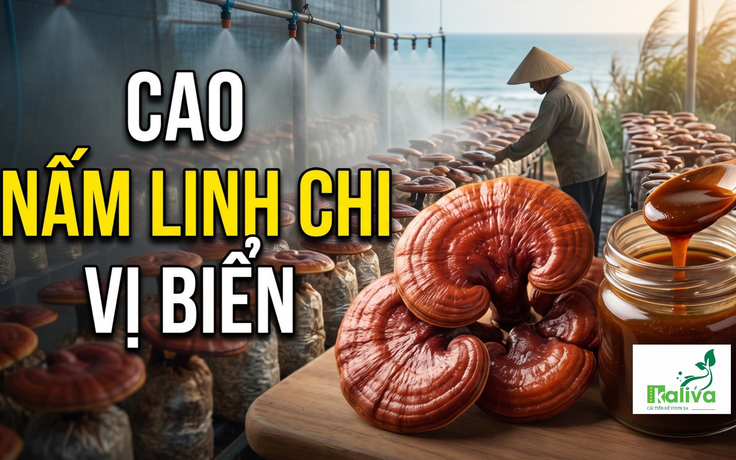 Cùng sống xanh 162: Mê nấm, người nông dân học cách nấu cao linh chi giúp người dùng dễ sử dụng hơn