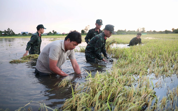Nước đang về ĐBSCL nhưng lũ vẫn thấp
