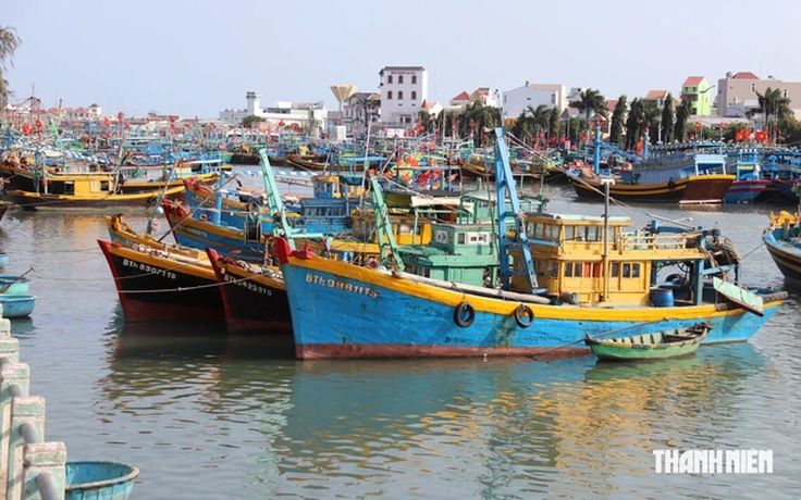 Lâm Đồng: Hằng tuần cập nhật danh sách tàu cá không đủ điều kiện, nguy cơ vi phạm IUU