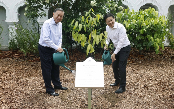 Sự phối hợp Việt Nam - Singapore mang ý nghĩa then chốt trong khu vực