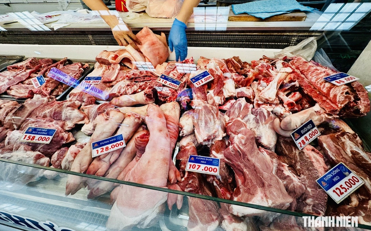 Giá heo hơi hôm nay 22.8.2026: Tiếp đà tăng
