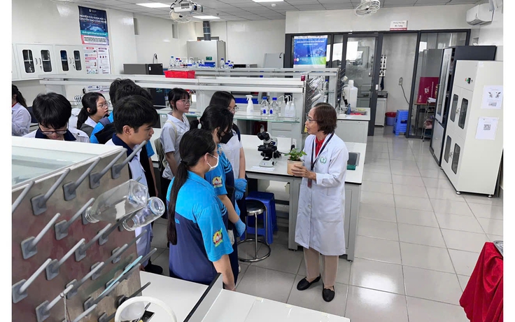 Có nên để hoạt động trải nghiệm, hướng nghiệp là môn học riêng?