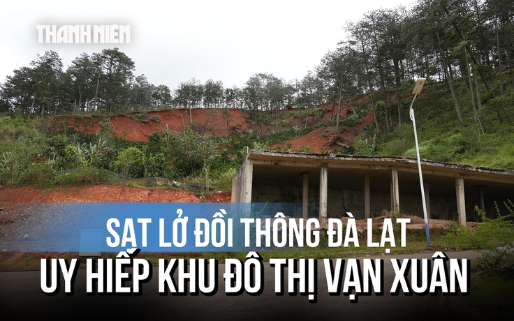 Đà Lạt khẩn cấp cắm biển cảnh báo điểm sạt lở đồi thông uy hiếp công trình hạ tầng