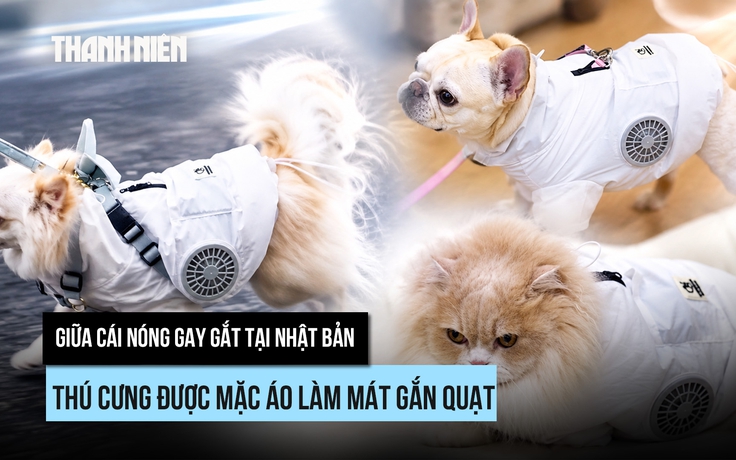 Sướng như thú cưng giữa nắng hè Nhật Bản