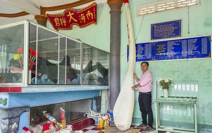 Con vật bước vào điện thờ ở TP.HCM: Người sống chăm mộ cá Ông để trả ơn