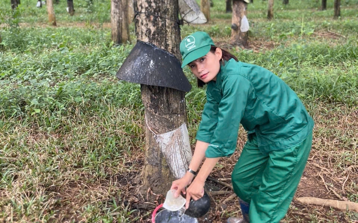 Ba bông hoa trên những vườn cây cao su Kon Tum
