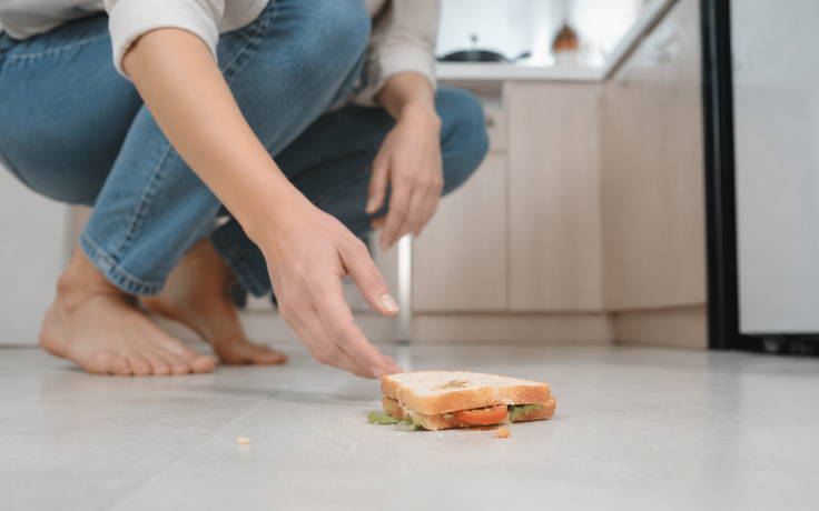 Thức ăn rơi xuống sàn, nhặt lên trong 5 giây có ăn được?