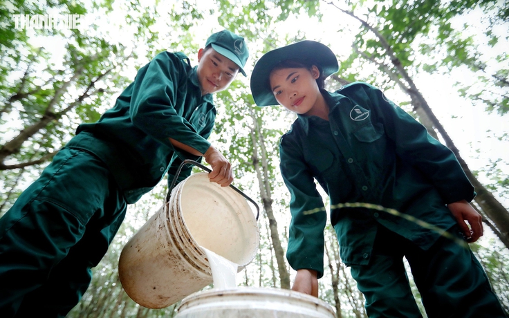 Từ Xín Mần đến rừng cao su phương Nam, người Mông tìm cơ hội đổi đời