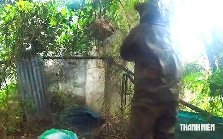 Đi nhặt củi trong vườn dừa, một phụ nữ bị ong vò vẽ đốt tử vong