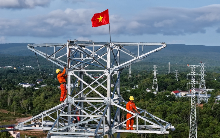 Điện lực miền Nam: Vượt khó ‘về đích’ 3 công trình trọng điểm phục vụ APEC 2027