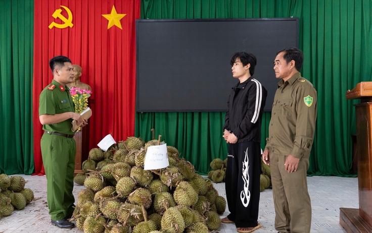 Bắt giữ nghi phạm từ Hải Phòng vào Đắk Lắk trộm 1,6 tấn sầu riêng