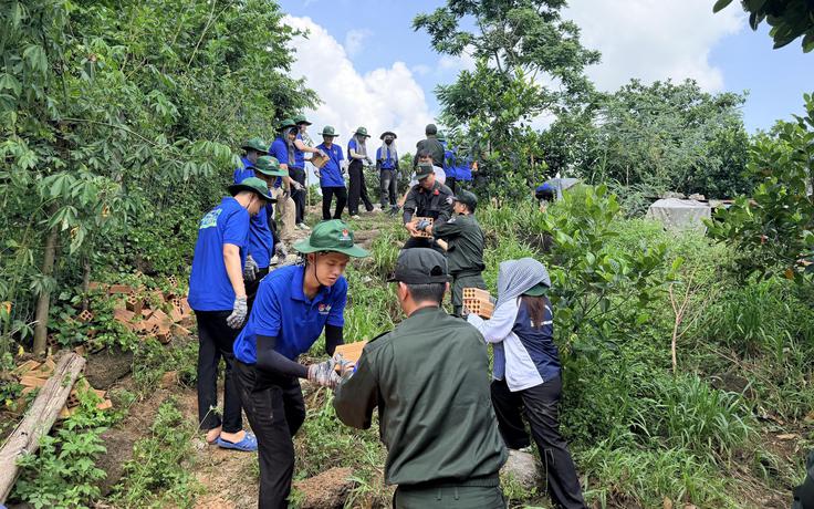 Mang màu xanh về với Tà Lài