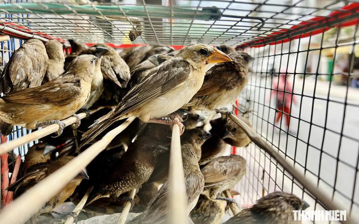 Khánh Hòa rà soát tài khoản mạng xã hội buôn bán động vật hoang dã