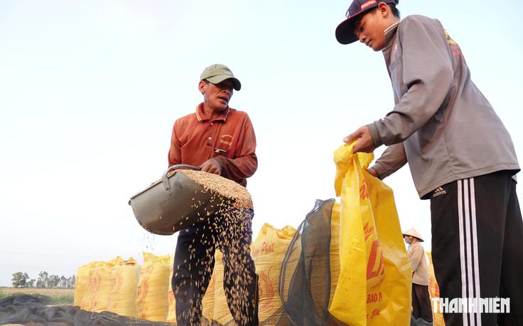 Khách mua gạo Việt Nam mở toang cửa nhập khẩu để ứng phó siêu El Nino