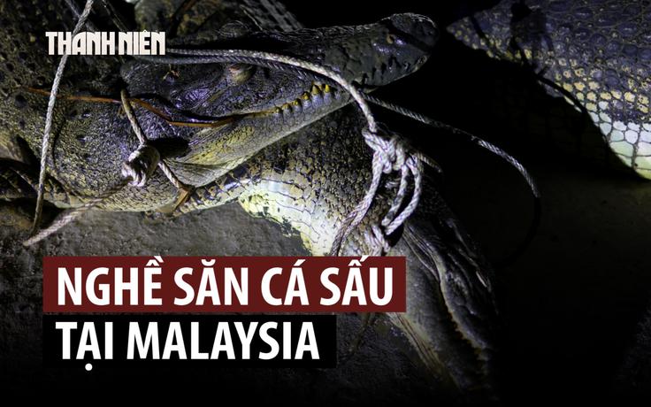 Thợ săn bận rộn khi cá sấu bắt nhiều người ở Malaysia
