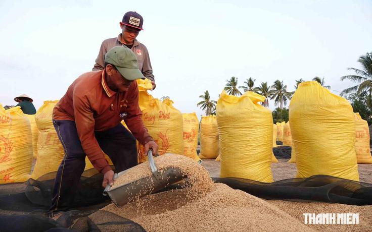 Giá lương thực có sốt bởi 'siêu El Nino'?
