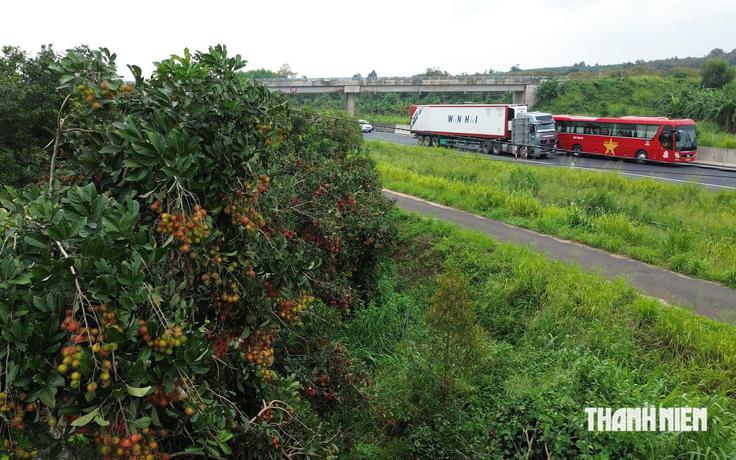 Xác định nhóm thanh niên ném hạt chôm chôm vào ô tô trên cao tốc Phan Thiết - Dầu Giây