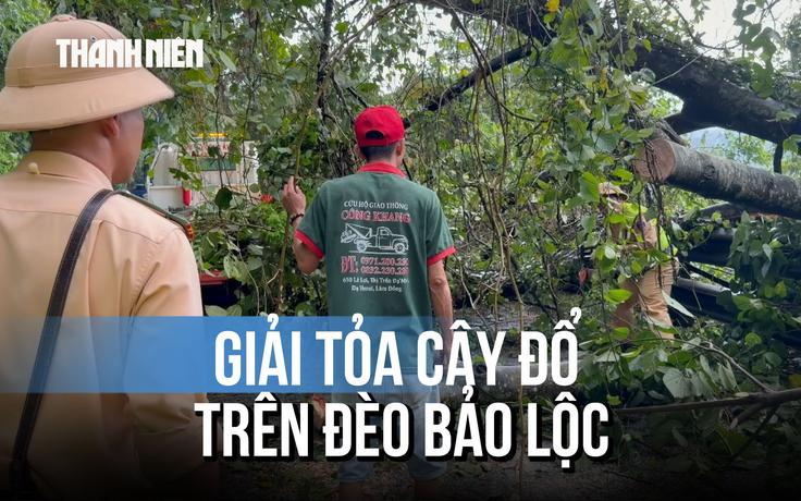 Khẩn trương giải tỏa cây đổ trên đèo Bảo Lộc và sạt lở trên đèo Con Ó
