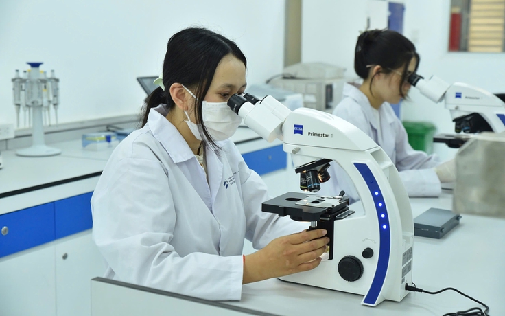 Lĩnh vực dẫn đầu xu hướng tuyển dụng nhân sự mới vào nghề tại Việt Nam