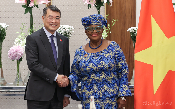 Việt Nam là minh chứng tiêu biểu cho sự thành công của WTO