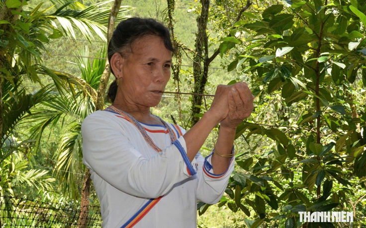 Kèn a máp, tiếng lòng phụ nữ Cor