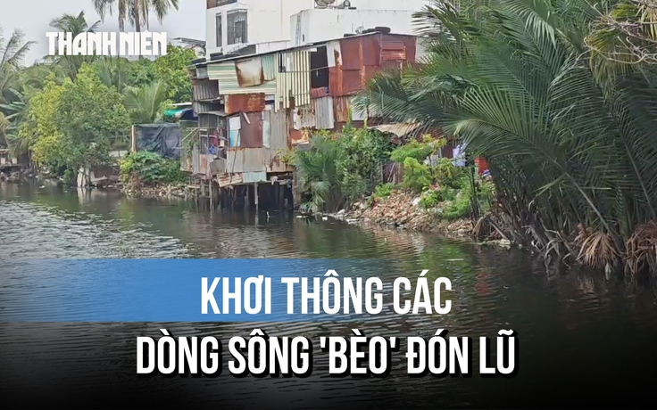 Khánh Hòa: Huy động máy đào và sà lan khơi thông các dòng sông 'bèo' đón lũ