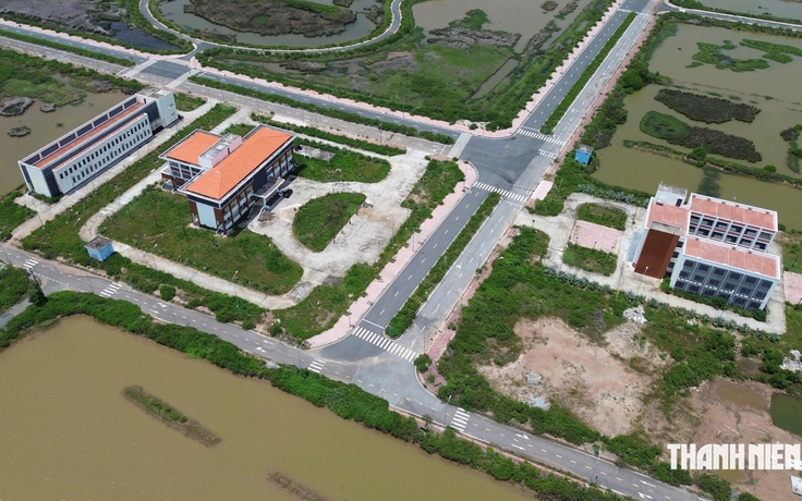 7 nhà đầu tư đề xuất dự án tại Khu phát triển tôm công nghệ cao