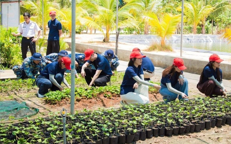 Đất liền gửi triệu mầm xanh ra Trường Sa