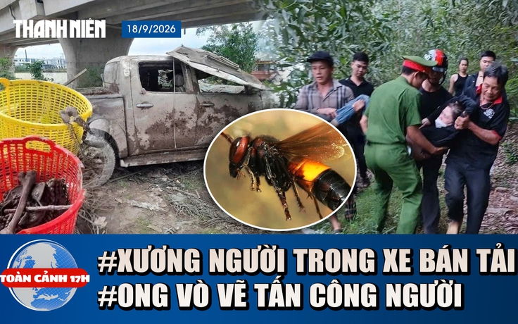Toàn cảnh 17h: Phát hiện xương người trong xe bán tải dưới sông | Ong vò vẽ tấn công khi đi hái nấm