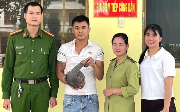 Liên tiếp phát hiện, giải cứu tê tê quý hiếm bên đường