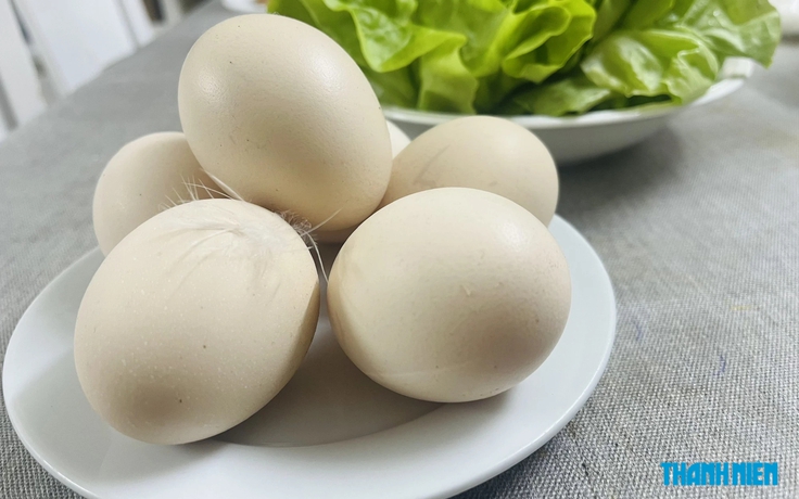 Người cholesterol máu cao và tăng huyết áp ăn được trứng không?